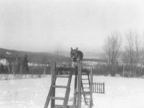 Foto 14